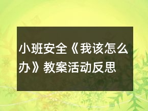 小班安全《我该怎么办》教案活动反思