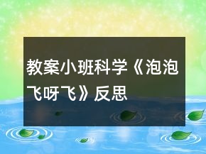教案小班科学《泡泡飞呀飞》反思