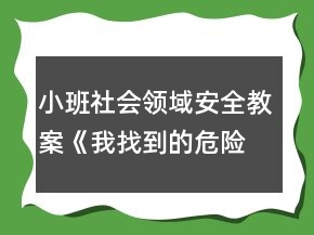 小班社会领域安全教案《我找到的危险》反思