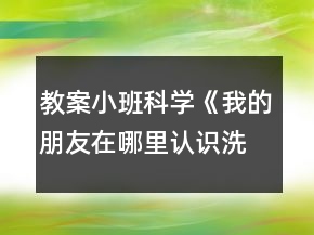 教案小班科学《我的朋友在哪里（认识洗涤用品）》反思