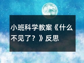 小班科学教案《什么不见了？》反思