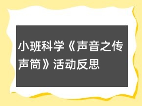 小班科学《声音之传声筒》活动反思