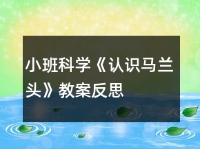 小班科学《认识马兰头》教案反思
