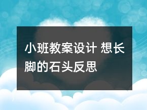 小班教案设计 想长脚的石头反思