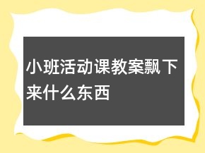 小班活动课教案：飘下来什么东西
