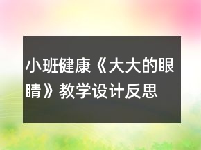 小班健康《大大的眼睛》教学设计反思