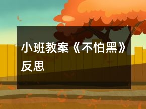 小班教案《不怕黑》反思