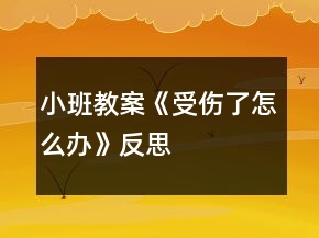 小班教案《受伤了怎么办》反思