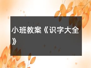 小班教案《识字大全》