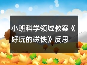 小班科学领域教案《好玩的磁铁》反思