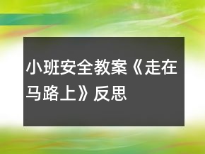 小班安全教案《走在马路上》反思
