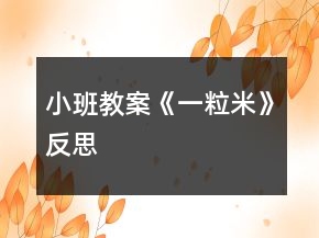 小班教案《一粒米》反思