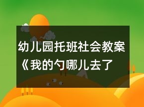 幼儿园托班社会教案《我的勺哪儿去了》反思