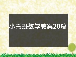 小托班数学教案20篇