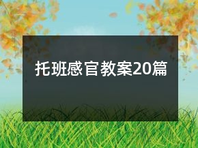 托班感官教案20篇
