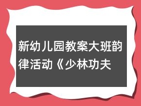 新幼儿园教案大班韵律活动《少林功夫》反思