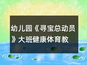 幼儿园《寻宝总动员》大班健康体育教案反思