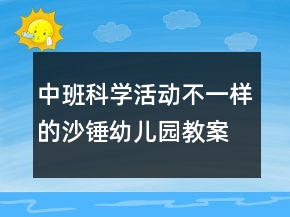 中班科学活动：不一样的沙锤幼儿园教案总结