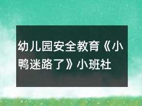 幼儿园安全教育《小鸭迷路了》小班社会安全教案反思