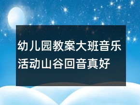 幼儿园教案大班音乐活动：山谷回音真好听反思