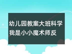 幼儿园教案大班科学：我是小小魔术师反思