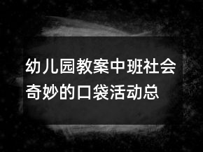 幼儿园教案中班社会：奇妙的口袋活动总结