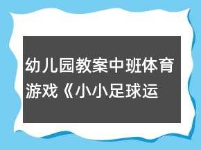 幼儿园教案中班体育游戏《小小足球运动员》反思