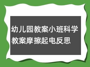 幼儿园教案小班科学教案：摩擦起电反思