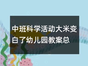 中班科学活动：大米变白了幼儿园教案总结