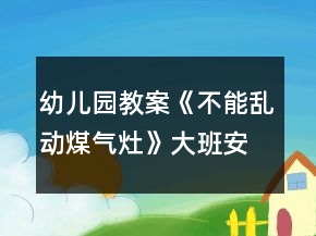 幼儿园教案《不能乱动煤气灶》大班安全教育反思