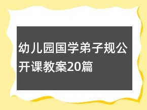 幼儿园国学弟子规公开课教案20篇