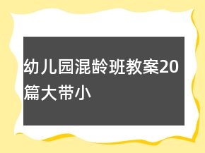 幼儿园混龄班教案20篇大带小