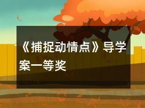 《捕捉动情点》导学案一等奖