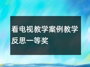 看电视教学案例教学反思一等奖