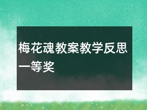 梅花魂教案教学反思一等奖