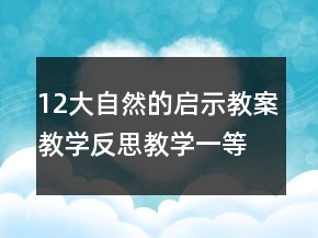 12大自然的启示教案教学反思教学一等奖