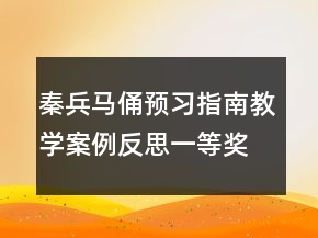 秦兵马俑预习指南教学案例反思一等奖