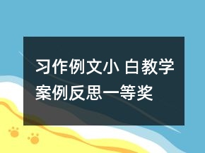 习作例文：小 白教学案例反思一等奖