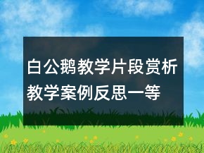 白公鹅教学片段赏析教学案例反思一等奖