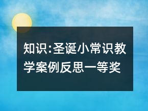 知识:圣诞小常识教学案例反思一等奖