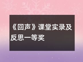《回声》课堂实录及反思一等奖