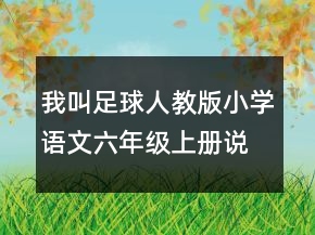 我叫足球人教版小学语文六年级上册说课稿一等奖