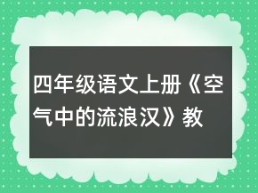 四年级语文上册《空气中的流浪汉》教案一等奖