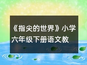 《指尖的世界》小学六年级下册语文教案一等奖