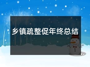 乡镇疏整促年终总结