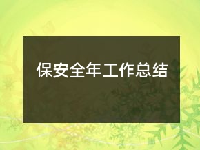 保安全年工作总结