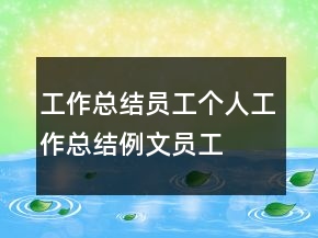 工作总结,员工个人工作总结例文,员工个人年度工作总结