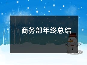 商务部年终总结