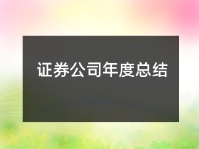 证券公司年度总结