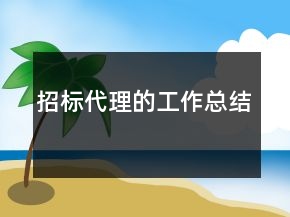 招标代理的工作总结